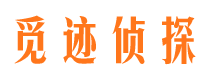 正宁市调查公司